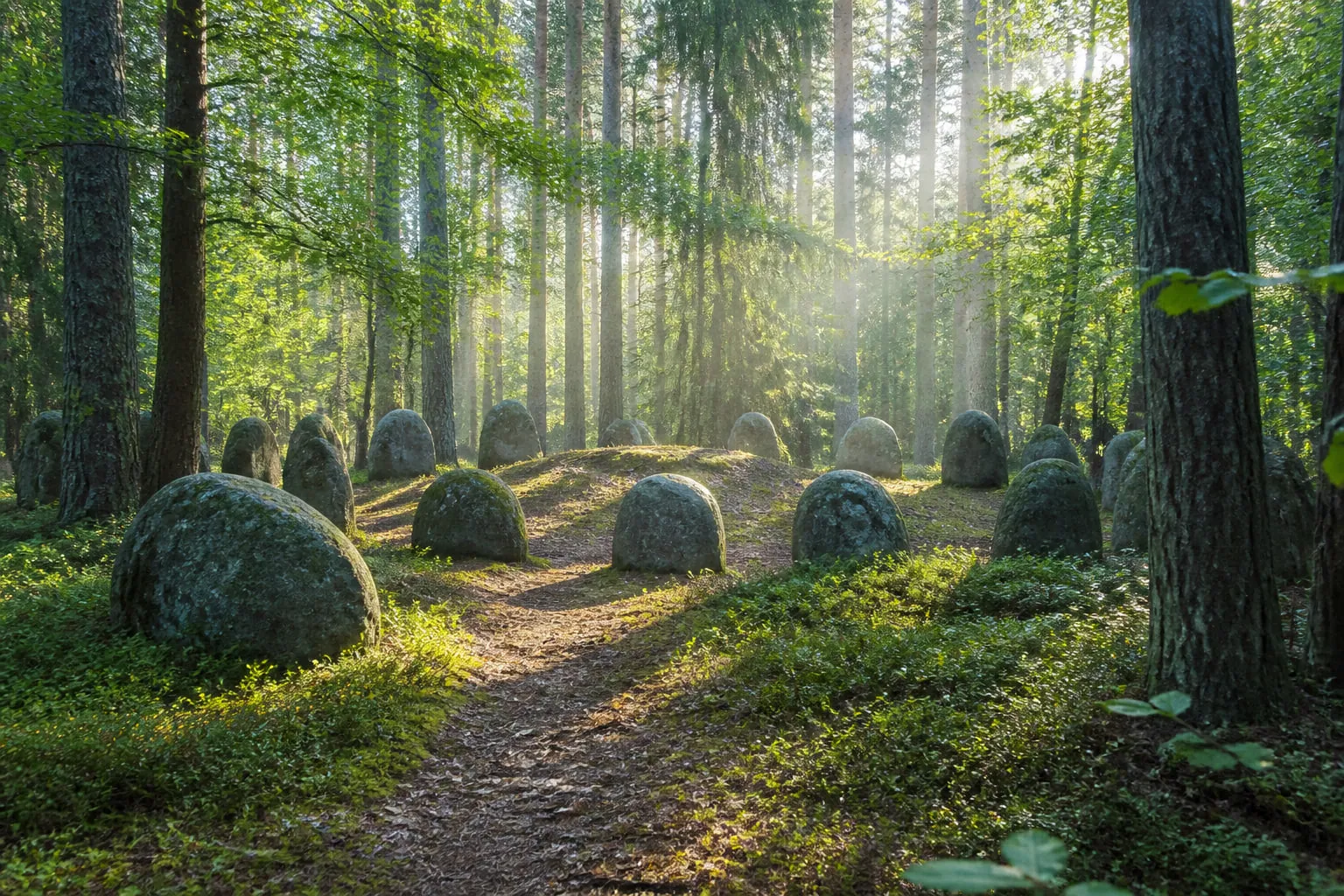 Kamienne kręgi i kurhany ukryte w lesie, przecięte promieniami słońca